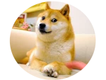 Icone de perfil